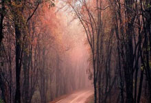 [综合]协和医生来支招：减肥，守好夜晚防线.