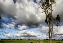 郑钦文入选《中国妇女》时代人物中新体育.