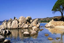 巅峰国际官网:CHINA HERE I COME!网红Speed官宣3月24日中国行.